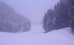20130411 A Praz   (1)